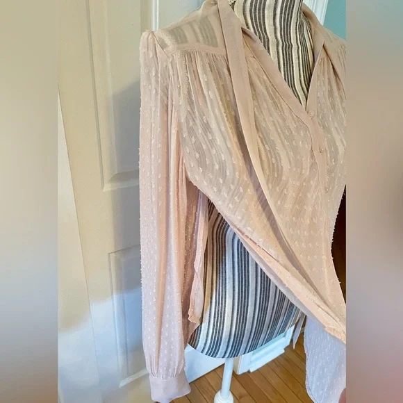 NWT KIMCHI BLUE for Urban Outfitters sheer Swiss dot top w side slits blush/pink - Picture 3 of 8